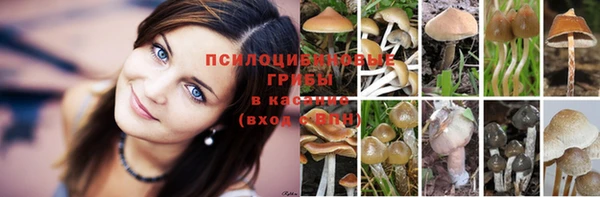 амфетамин Осташков
