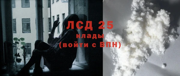 индика Абинск