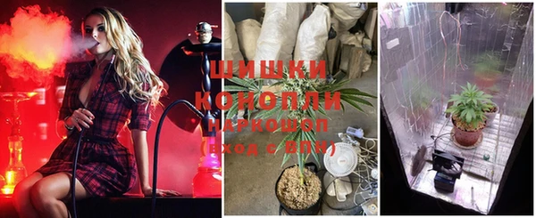 индика Абинск