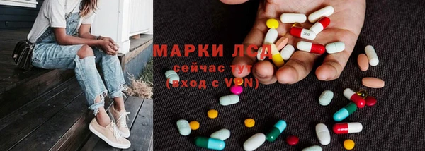 индика Абинск