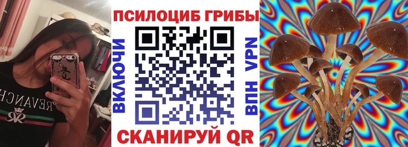 Псилоцибиновые грибы Psilocybine cubensis Энем